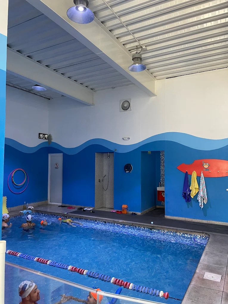 Alberca Pez Globo — vista interior